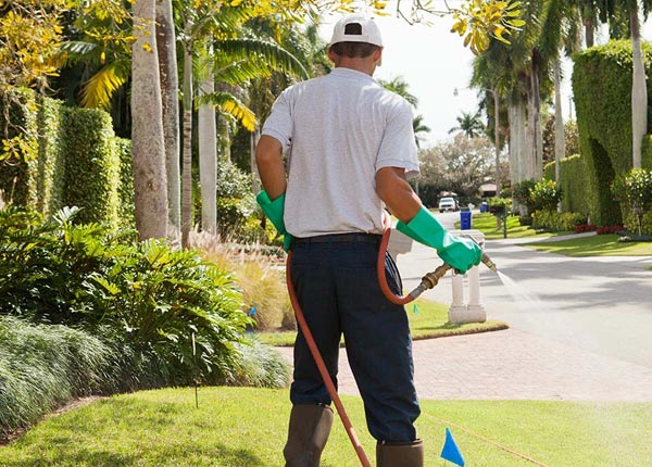 About Elmer MO Pest Control